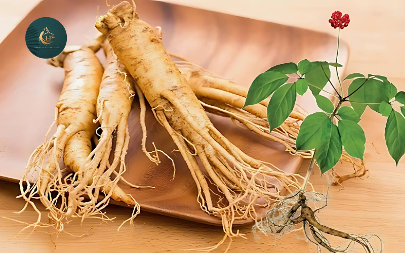 Cách phân biệt nhân sâm tươi Hàn Quốc thật và giả 1