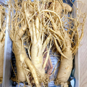 Nhân Sâm Tươi Hàn Quốc 5 củ 1 kg