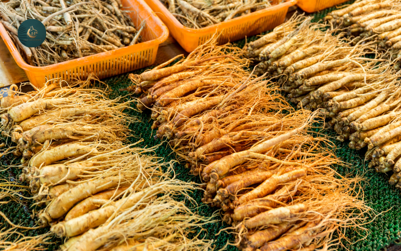 Nhân sâm tươi Hàn Quốc giá bao nhiêu2