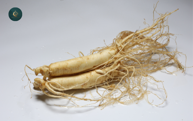 Nhân sâm tươi Hàn Quốc giá bao nhiêu3