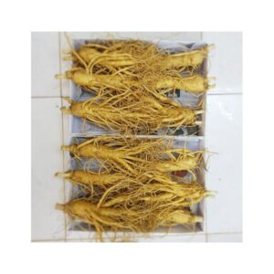 Nhân sâm tươi hàn quốc 6 củ 1 kg 1
