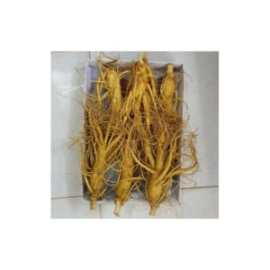 Nhân sâm tươi hàn quốc 6 củ 1 kg