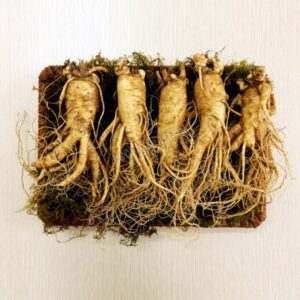 nhân sâm tươi hàn quốc 5 củ 1 kg 2