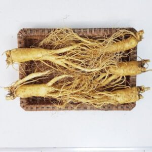 nhân sâm tươi hàn quốc 5 củ 1 kg