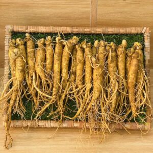 nhân sâm tươi hàn quốc hầm gà loại nhỏ 1