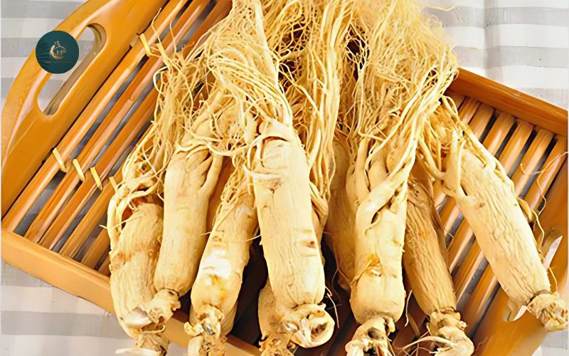 Địa chỉ bán sâm tươi Hàn Quốc 2