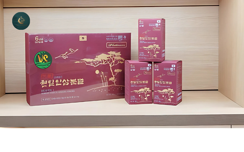 Thiên sâm Hàn Quốc là gì 2