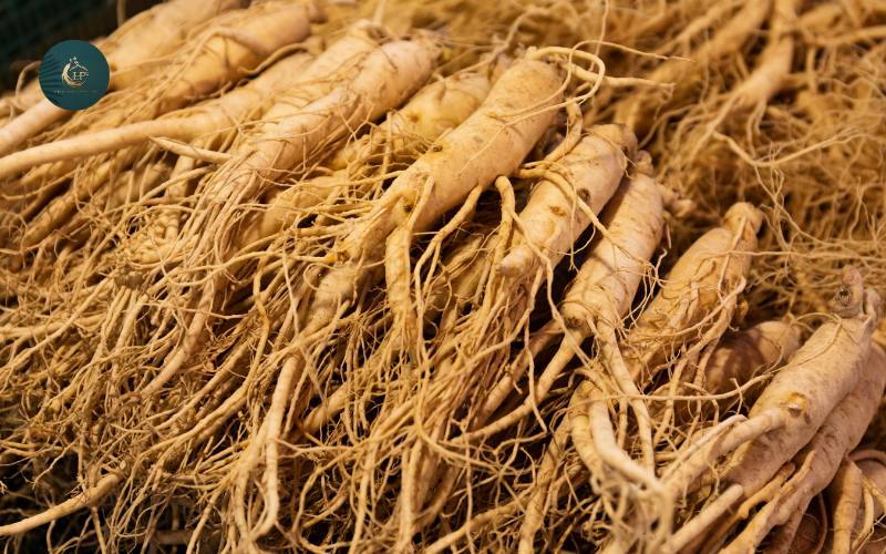 Tác dụng của nhân sâm tươi đối với sức khỏe2