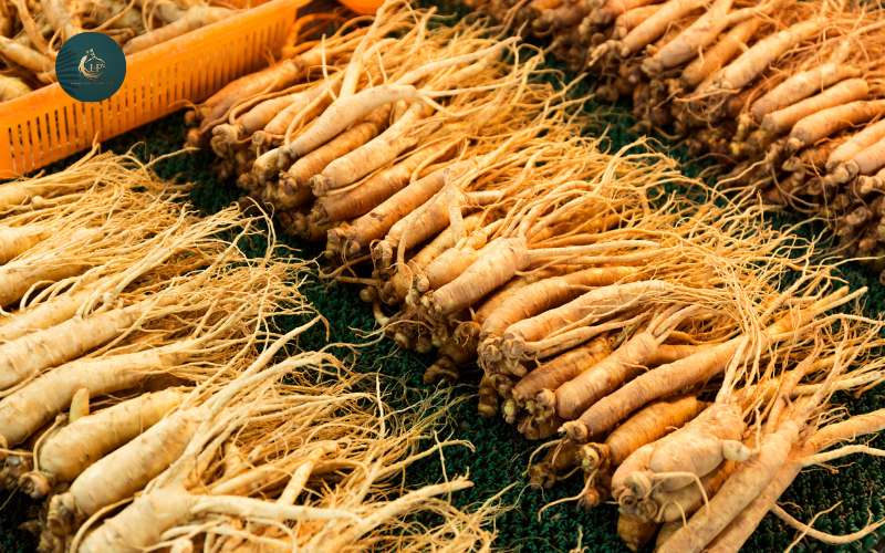 Tác dụng của nhân sâm tươi đối với sức khỏe3