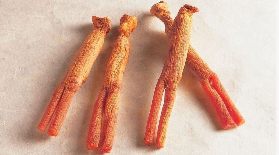 thiên sâm hàn quốc thiên sâm hàn quốc