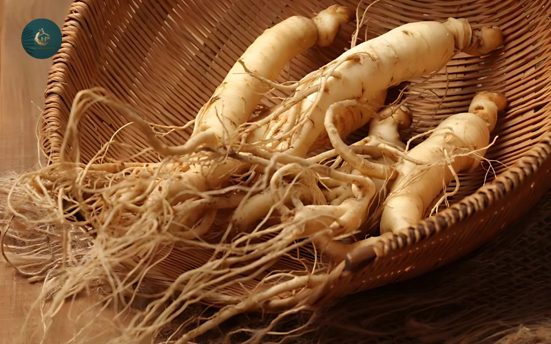 Kẹo hồng sâm hàn quốc có tác dụng gì3 Kẹo hồng sâm hàn quốc có tác dụng gì3