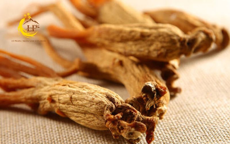 Chống lão hóa và làm đẹp da