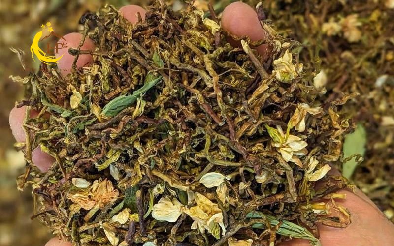 Trà sơn mật hồng sâm có giảm cân không