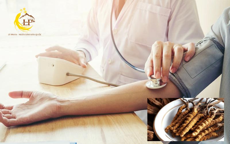 Đông trùng hạ thảo cho người cao huyết áp