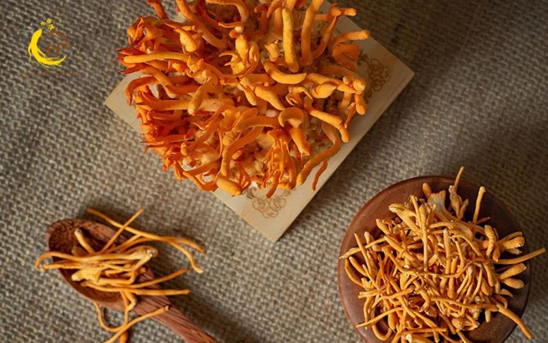 Đông trùng hạ thảo bán chạy