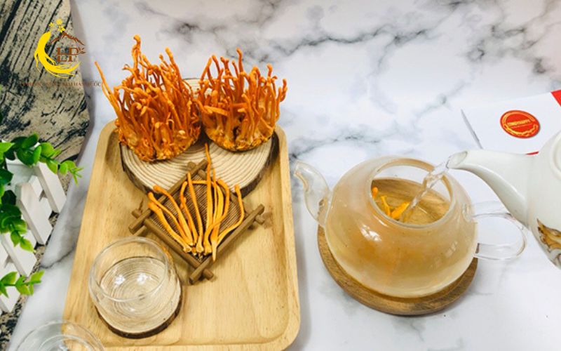 Lợi ích của đông trùng hạ thảo cho người tiểu đường