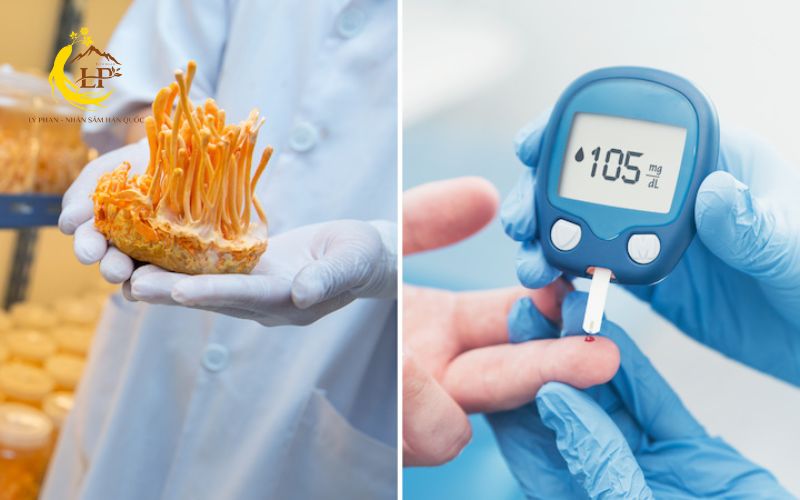 Đông trùng hạ thảo cho người tiểu đường