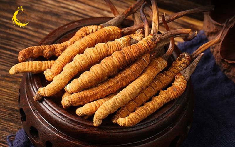 Nguồn gốc đông trùng hạ thảo