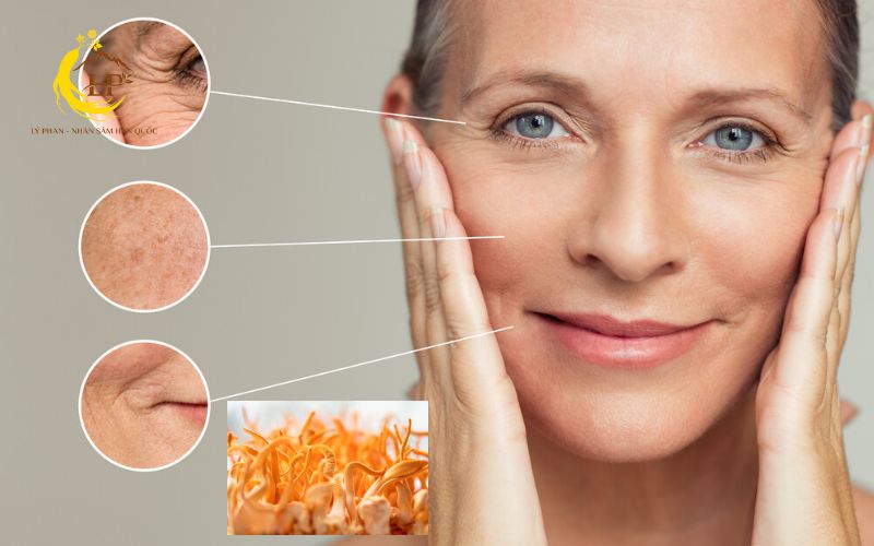 Lợi ích của đông trùng hạ thảo