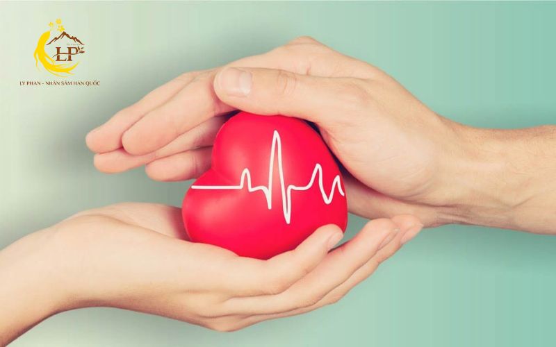 Đặc tính chống lão hóa tự nhiên