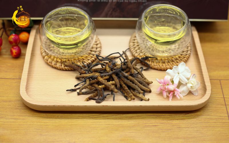 Lưu ý khi sử dụng đông trùng hạ thảo