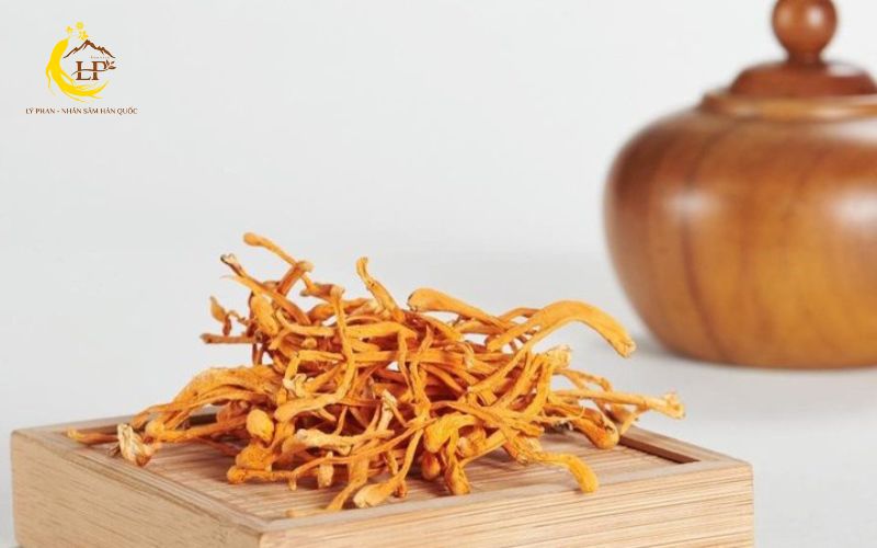 Cách bảo quản đông trùng hạ thảo