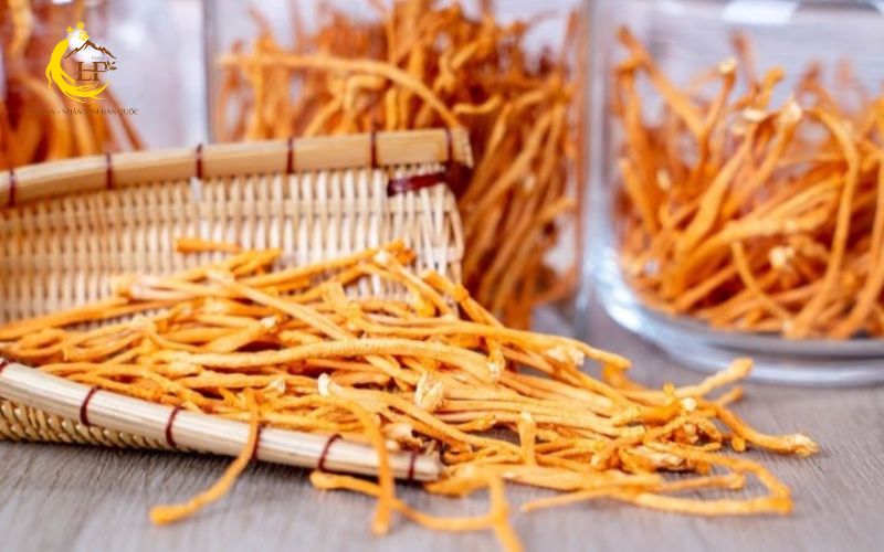 Tại sao cần bảo quản đông trùng hạ thảo