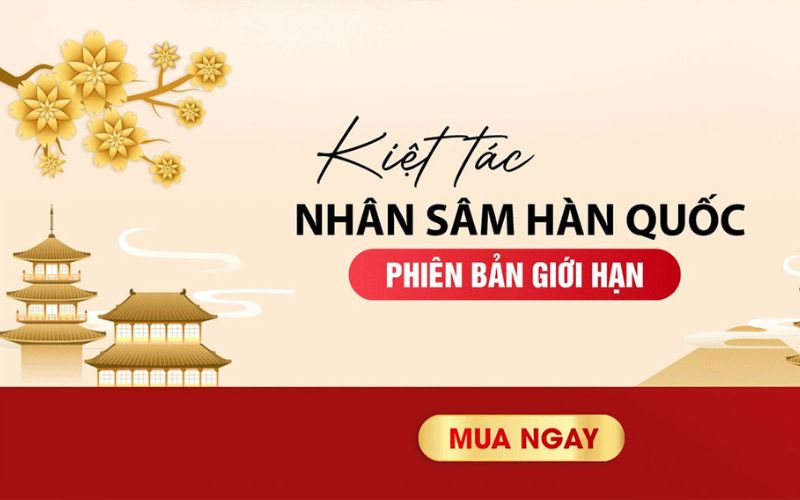 Cửa hàng Nhân Sâm Hàn Quốc Lý Phan