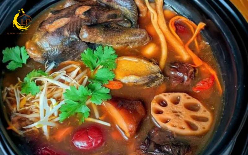 Bí quyết chế biến món ăn từ đông trùng hạ thảo Bí quyết chế biến món ăn từ đông trùng hạ thảo