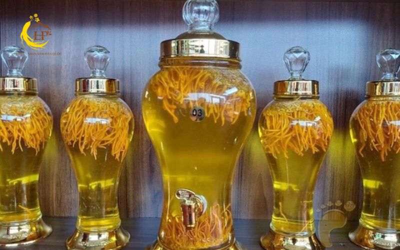 Tại sao nên ngâm rượu đông trùng hạ thảo?