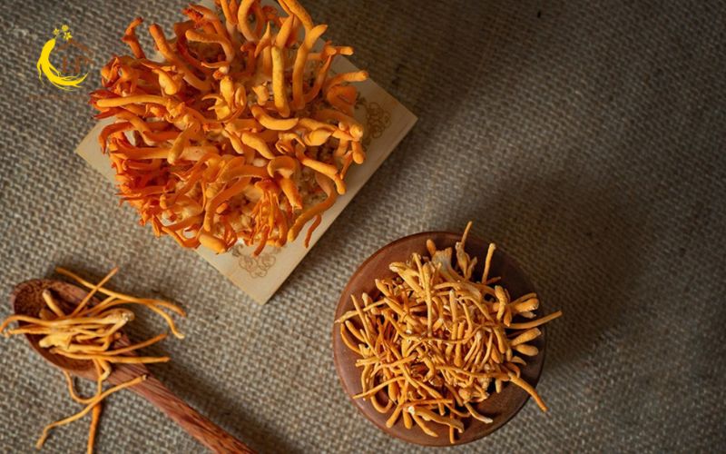 Đông trùng hạ thảo tươi và khô