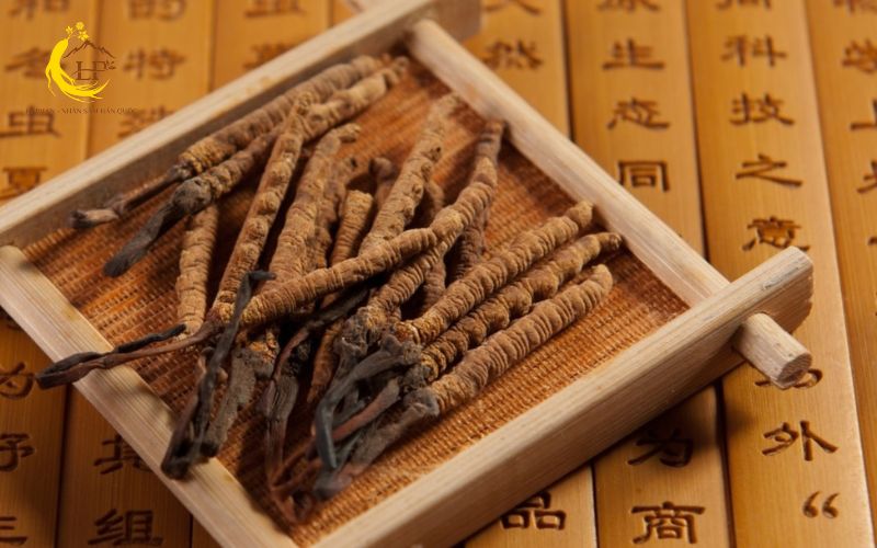 Phân tích mùi vị và độ ẩm