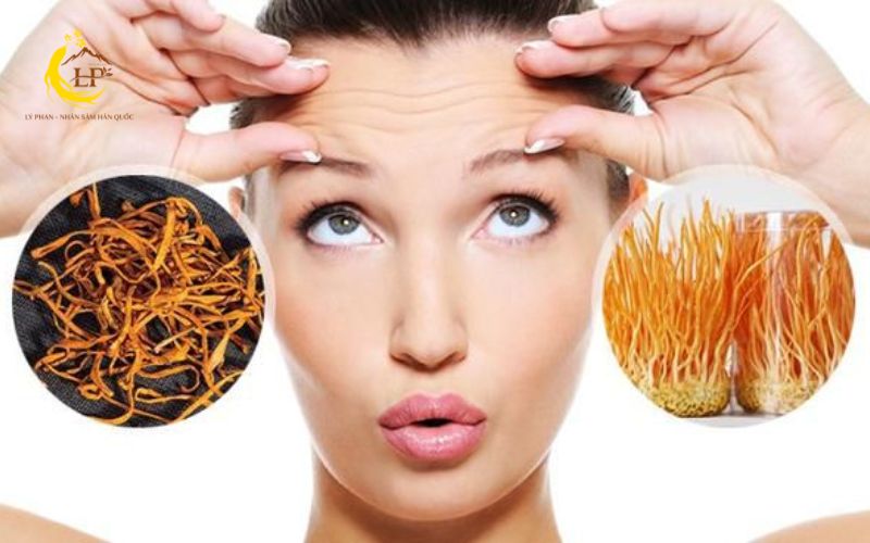 Đông trùng hạ thảo trong làm đẹp