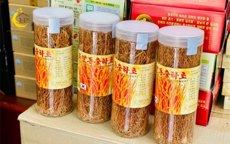 Đông trùng hạ thảo Hàn Quốc