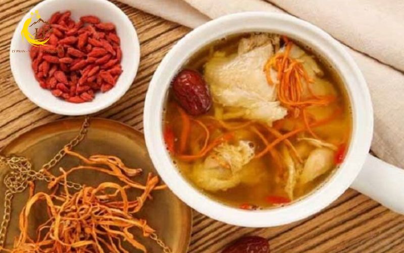 Hướng dẫn chọn mua đông trùng hạ thảo an toàn Hướng dẫn chọn mua đông trùng hạ thảo an toàn