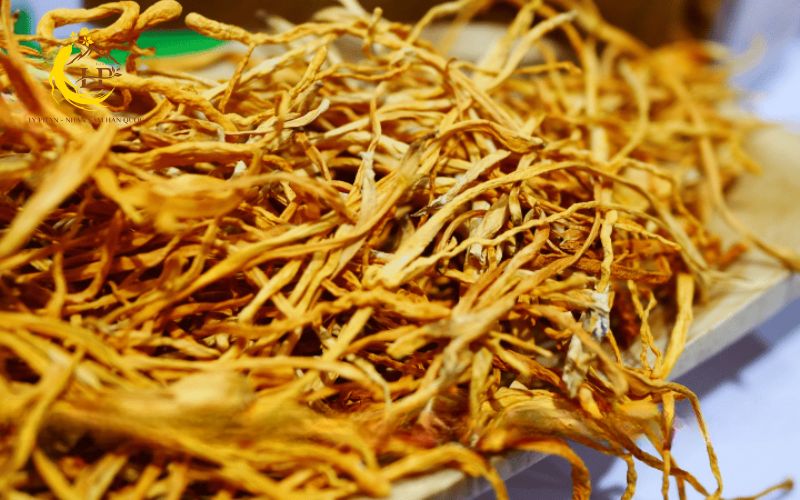 Dinh dưỡng của đông trùng hạ thảo Dinh dưỡng của đông trùng hạ thảo