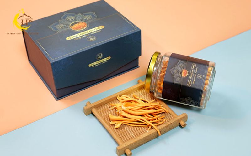 Đông trùng hạ thảo Việt Nam