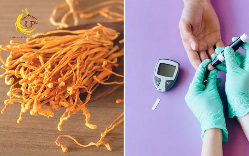 Đông trùng hạ thảo cho người tiểu đường
