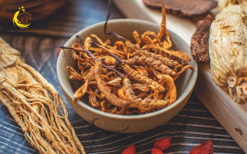 Đông trùng hạ thảo có tác dụng gì