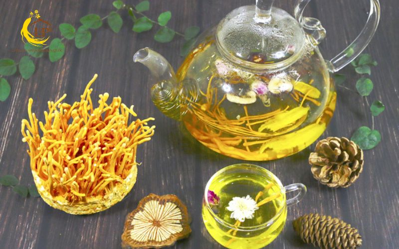 Pha trà đông trùng hạ thảo thanh mát