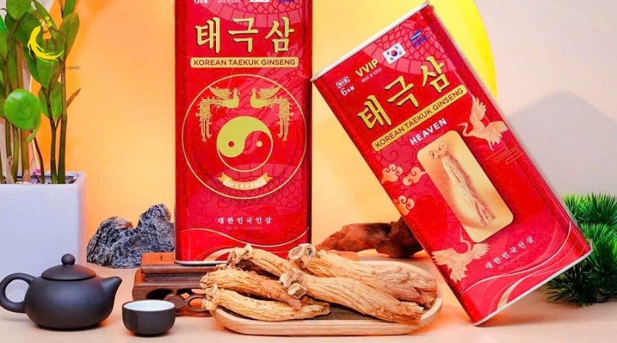 Cách dùng thiên sâm chính phủ 2