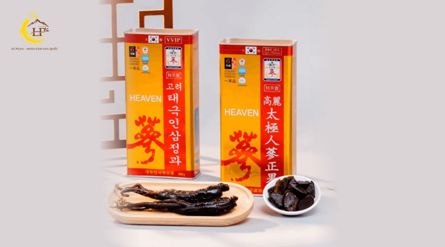 Thiên sâm Chính phủ là gì