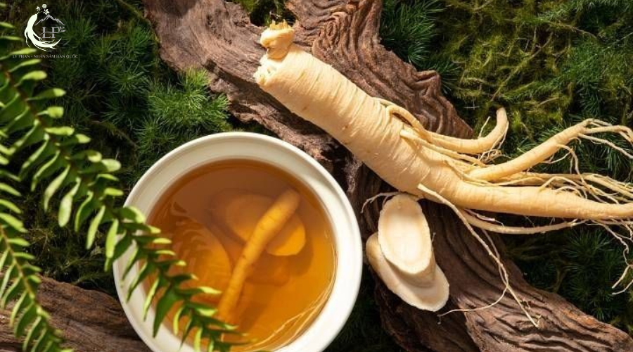 thiên sâm và hồng sâm2