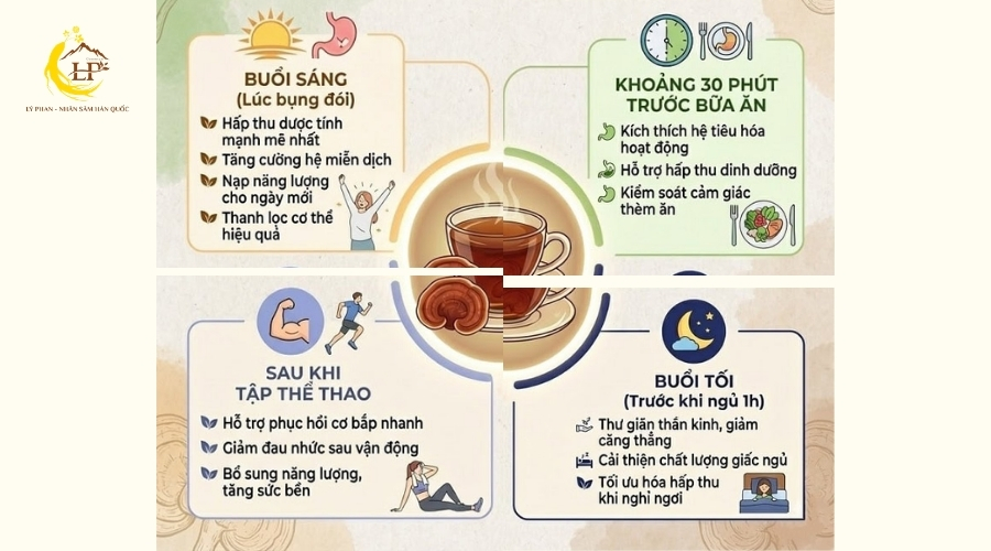Cách uống nấm linh chi 2