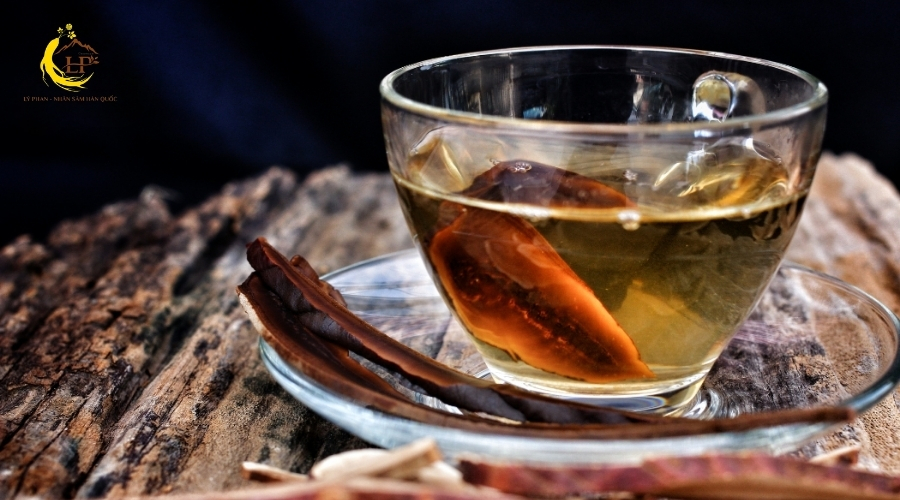 Cách uống nấm linh chi 3