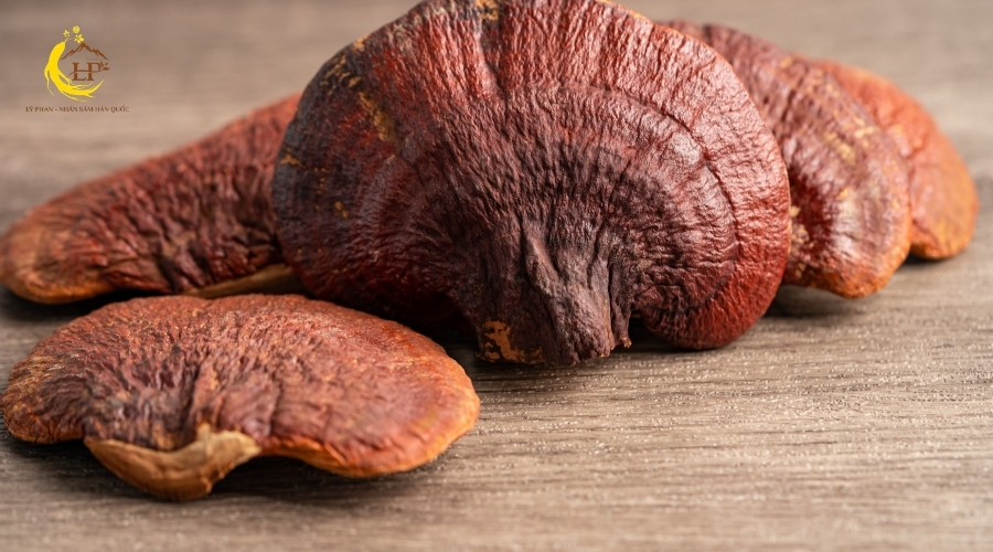 Chuẩn bị nguyên liệu và sơ chế nấm linh chi