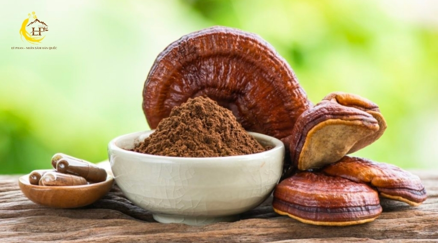 Giá nấm linh chi 1