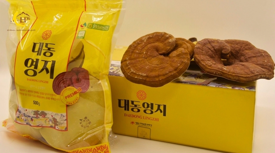 Giá nấm linh chi 2