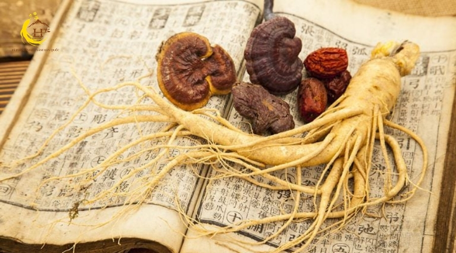 Kết hợp nấm linh chi với các thảo dược khác
