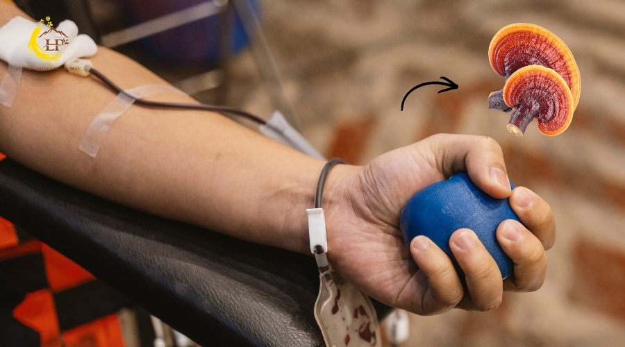 Tình trạng loãng máu